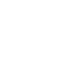 las-muns-logo-white.png