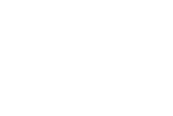 shaping-new-tomorrow-logo-white